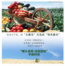 黑龙江农副产品整体亮相京东众筹,绿色航母扬帆起航 经济频道